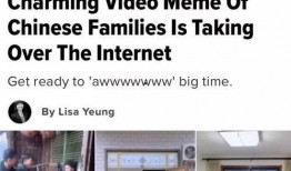 艺犬堂员工爆料视频,揭秘幕后真相